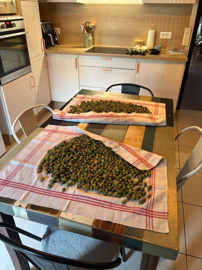 Chambre d’hôte pour 2 personnes, avec Terrasse et Jardin à Luc-sur-Orbieu - 4
