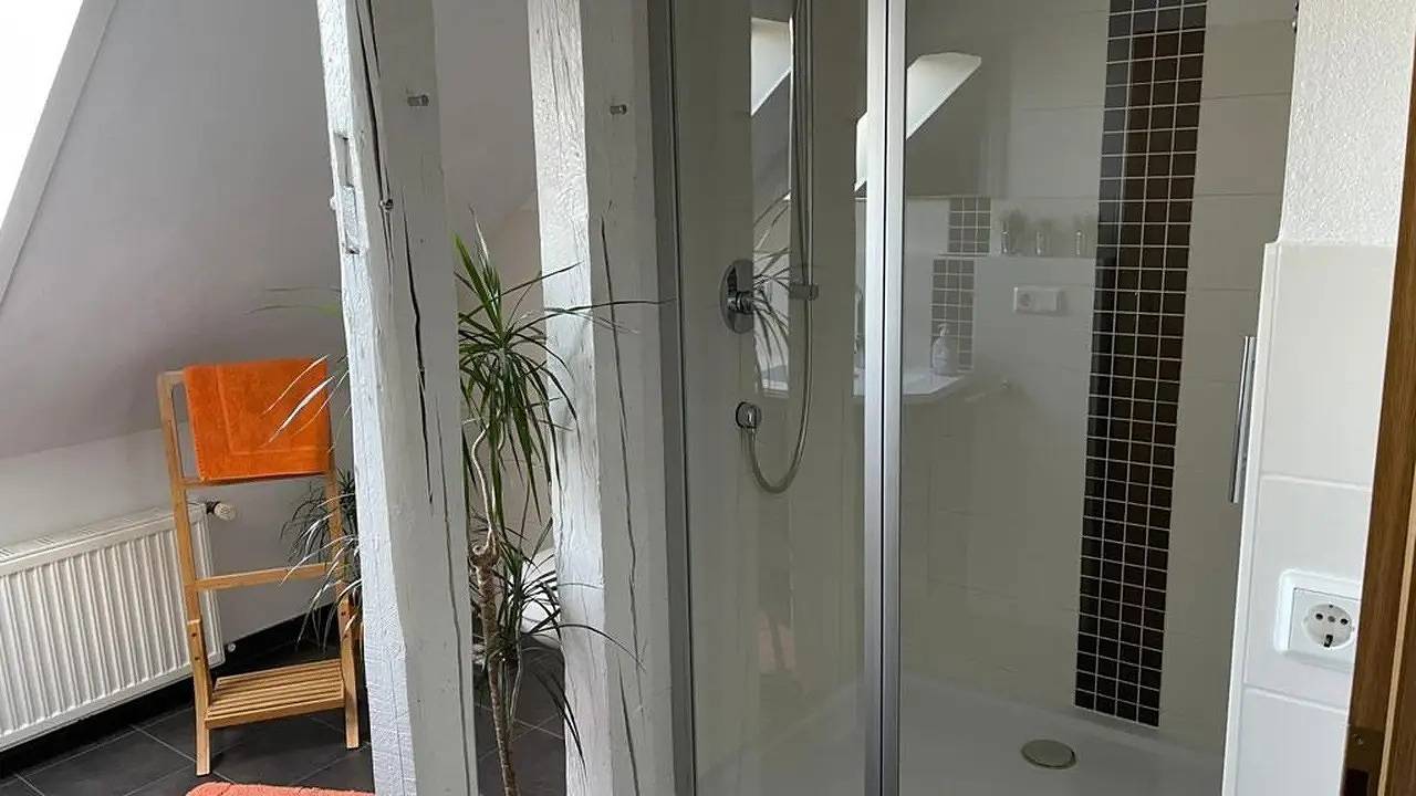 Entire holiday apartment, Ferienwohnung für 6 Personen (100 m²) in Thale in Thale, Harzvorland