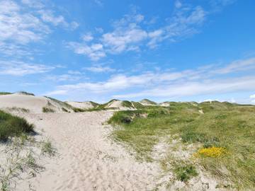 Ferienhaus für 4 Personen in Houvig Strand, Holmsland Klit, Bild 3
