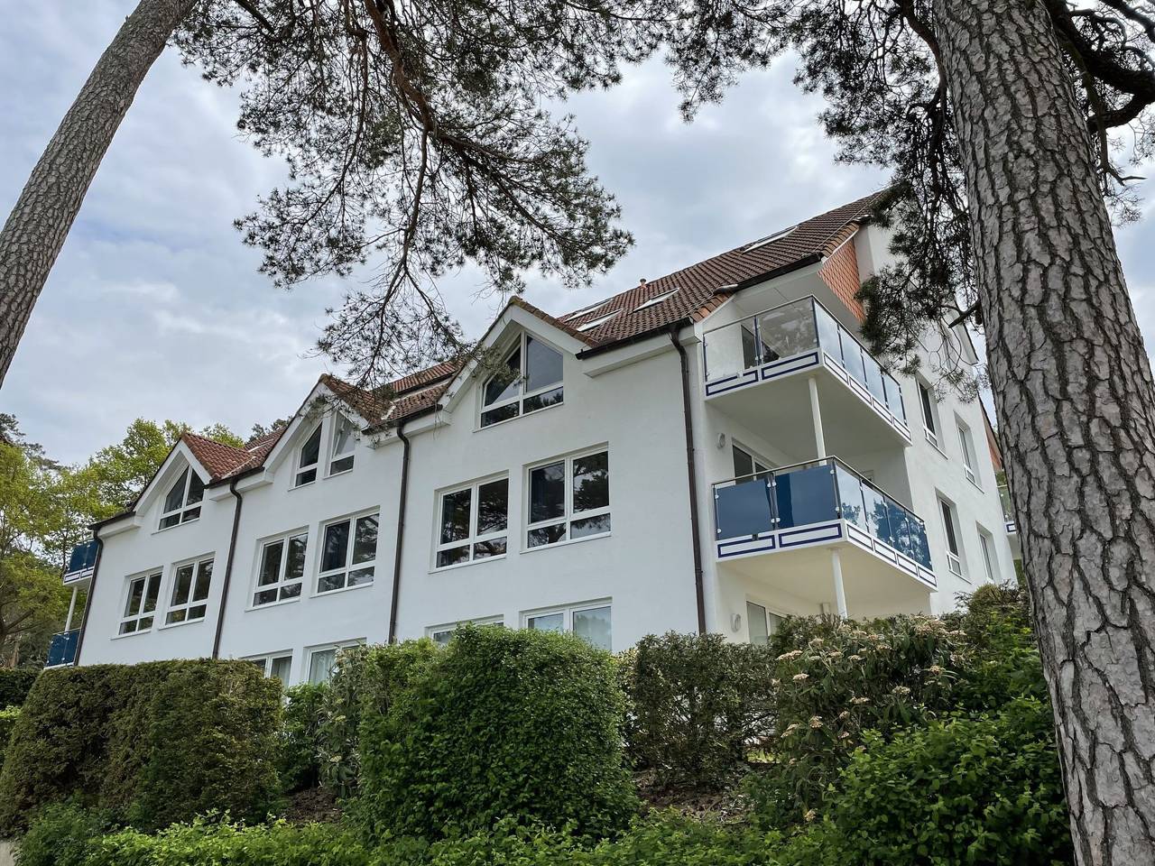Blaumuschel, foto 11