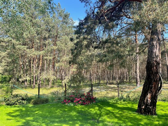 Maison de vacances « Waldhaus Am See » avec terrasse privée, jardin privé et Wi-Fi in Briesensee, Neu Zauche