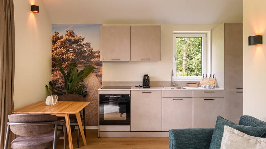 Ferienhaus für 2 Personen, mit Sauna und Garten in Drenthe - 2