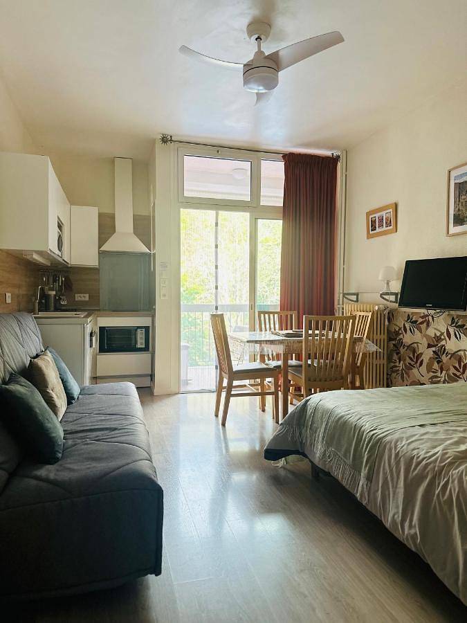 Gîte pour 2 personnes, avec terrasse et vue, animaux acceptés dans Thermes de Vernet-les-Bains - 3