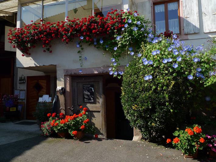 Gîte pour 6 personnes, avec Terrasse en Alsace - 2