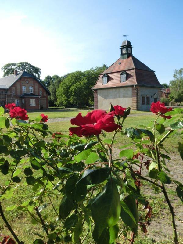 Bauernhof für 4 Personen, mit Garten in Mecklenburg-Vorpommern - 2