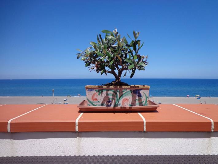 Appartamento per 5 persone, con terrazza, con animali domestici a Terme Vigliatore