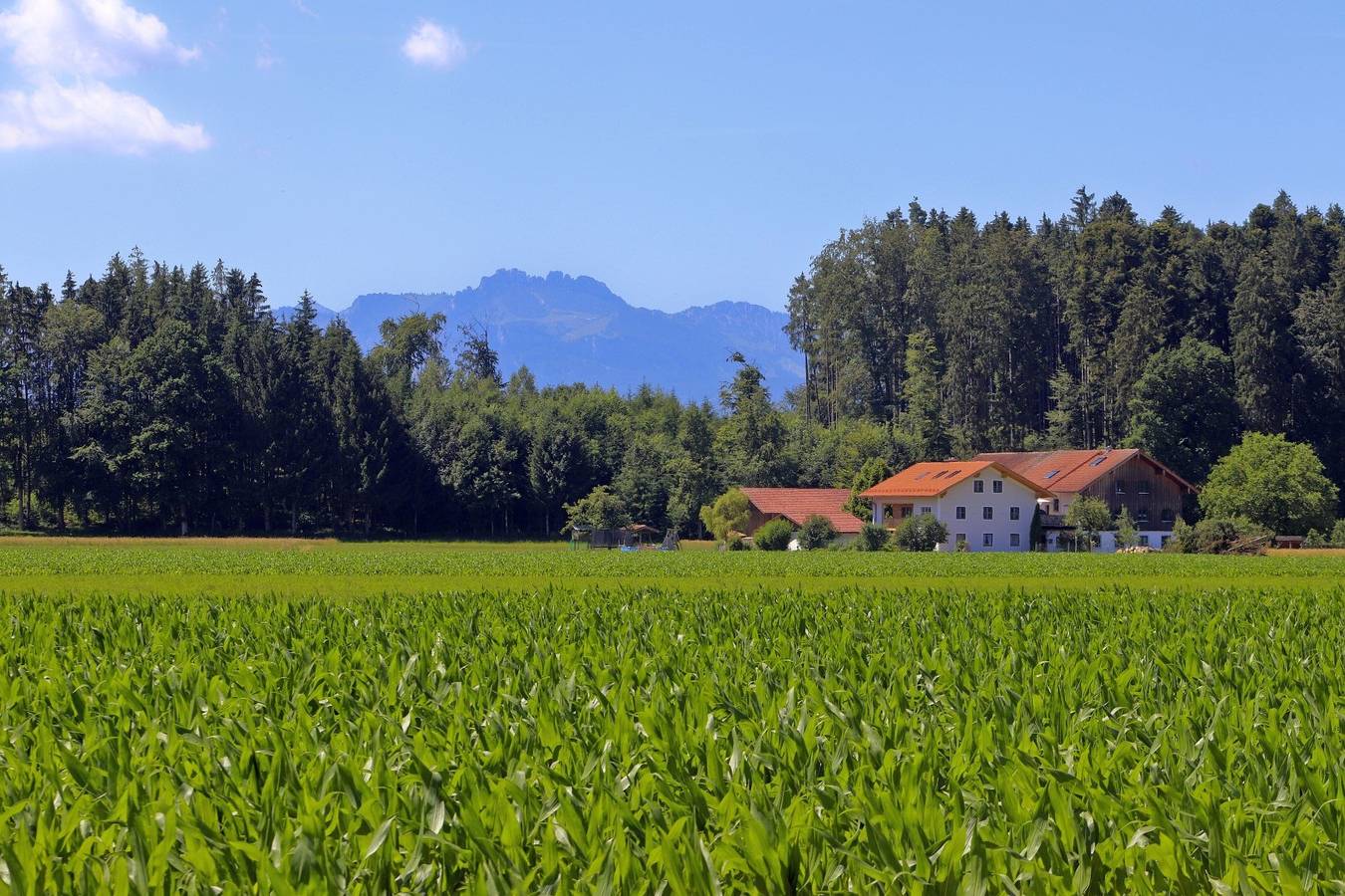 Beim Lenglacher - Ferienwohnung Schwalbennest in Chieming, Chiemsee
