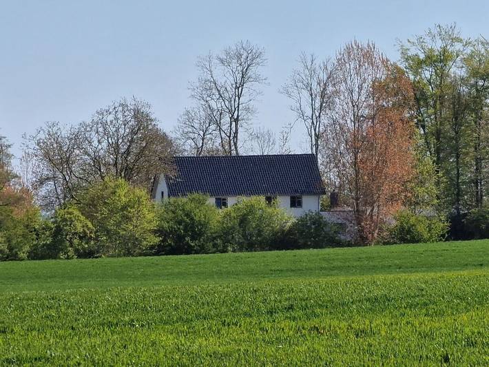 Ferienhaus für 4 Personen, mit Terrasse und Garten sowie Sauna in Kronsgaard - 2