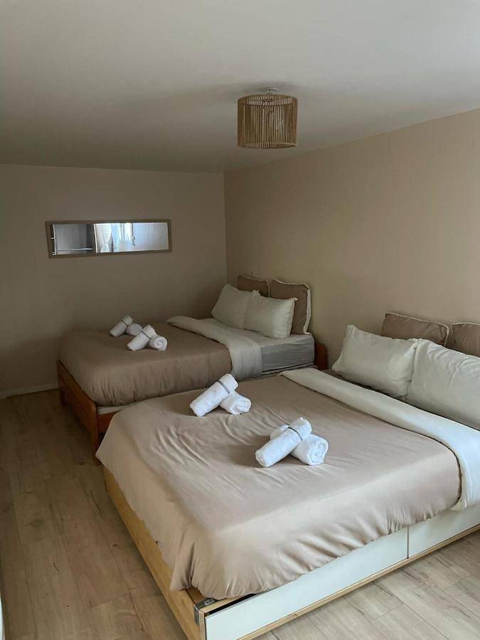 Location de vacances pour 14 personnes, avec piscine ainsi que jardin et jacuzzi à Noisy-le-Grand - 4