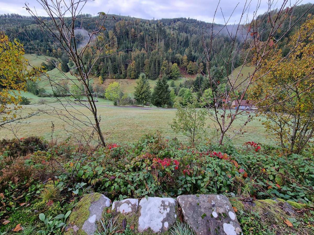 Bergforelle - Bilderbuchausblicke, Sauna und Genussmomente in einer ehemaligen Kapelle in Tonbach, Baiersbronn