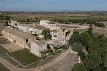 Ferienhaus in Es Trenc, Campos für 2 