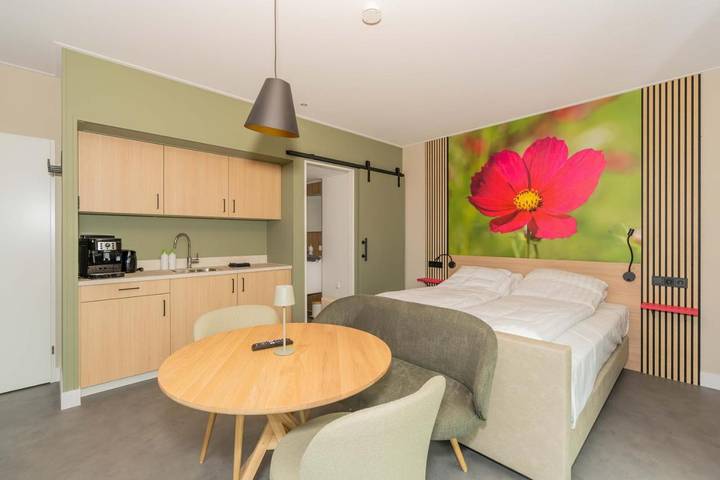 Hotel für 2 Personen, mit Terrasse und Whirlpool sowie Garten und Sauna in Ellemeet - 3