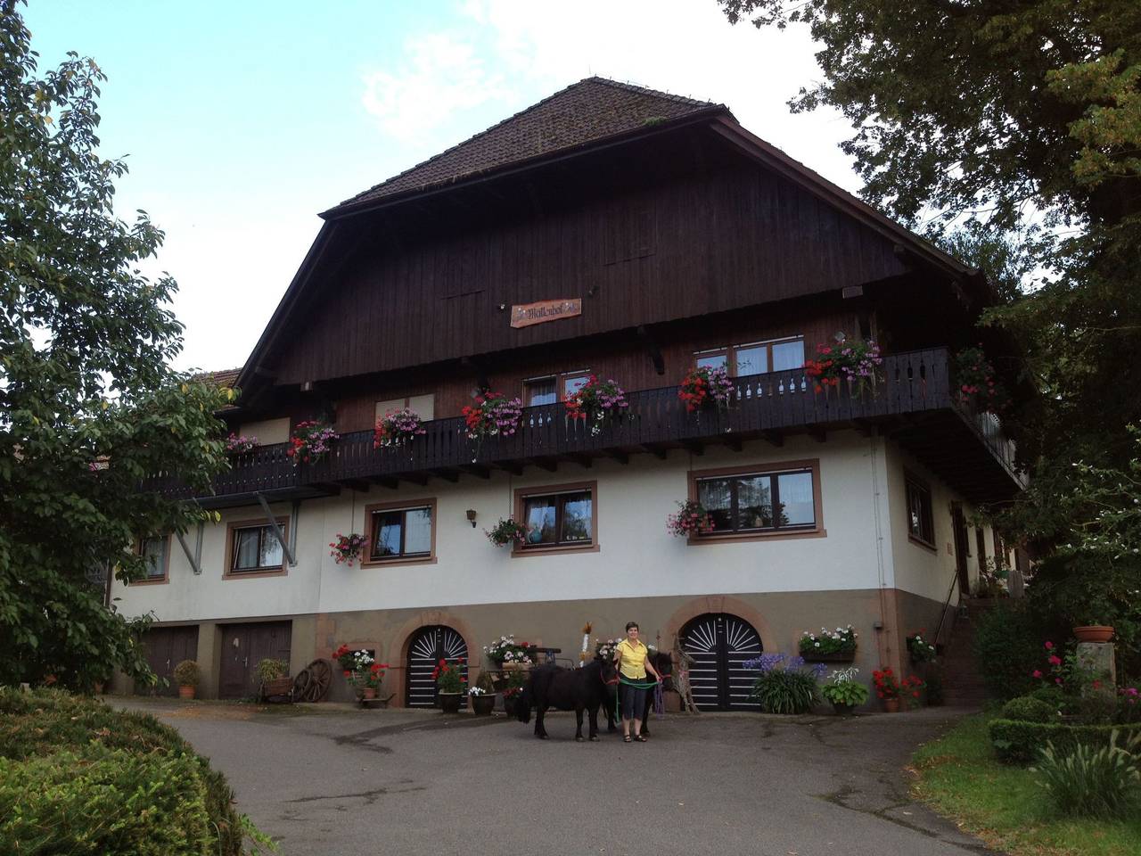 Ganze Wohnung, Fuchsbau in Unterharmersbach, Zell am Harmersbach