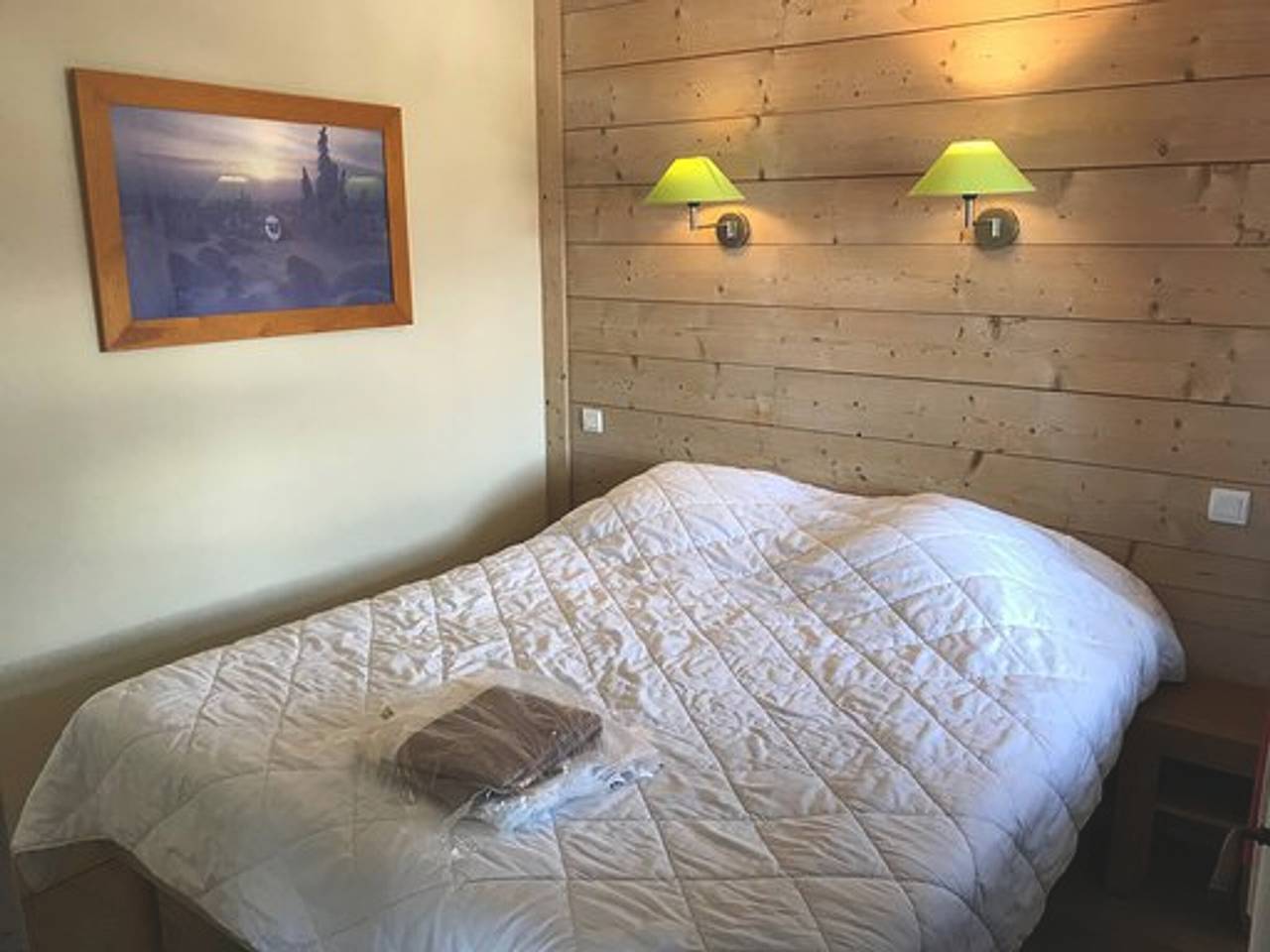 Appartement entier, Chalet centre La Tania, skis aux pieds, parking et animaux admis in La Tania, La Perrière