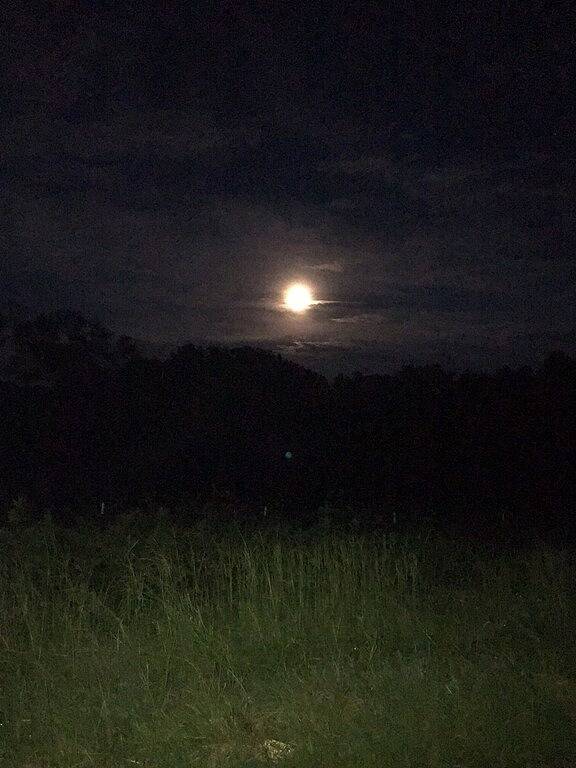 Vacation house for 4 people, with yard in Georgia