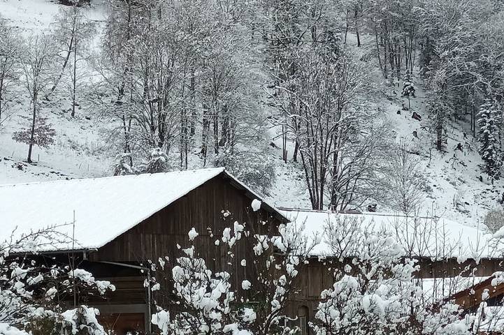 Gîte pour 10 personnes, avec jardin à Husseren-Wesserling - 4