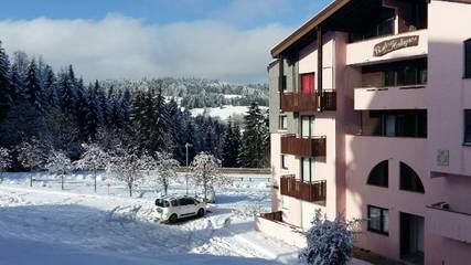 Gîte pour 4 personnes, avec vue, animaux acceptés à Bellevaux
