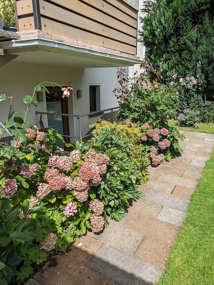 Ferienwohnung für 2 Personen, mit Terrasse und Garten in Bad Pyrmont