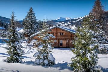 Vakantiewoning voor 8 Personen in Les Gets, Les Portes du Soleil, Afbeelding 3