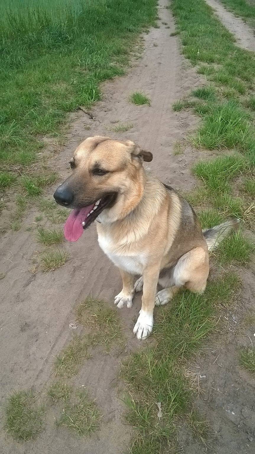 Appartement de vacances entier, Bahnhofstraße 48 b in Kleinlangheim, Région viticole de Franconie