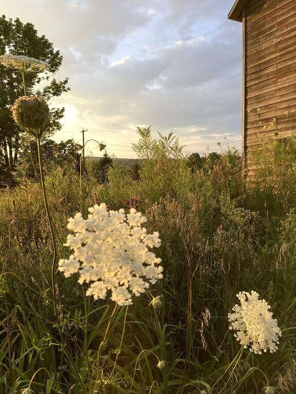 Ein gemütliches Bauernhaus inmitten von zwei Scheunen im Hudson Valley in Ulster County