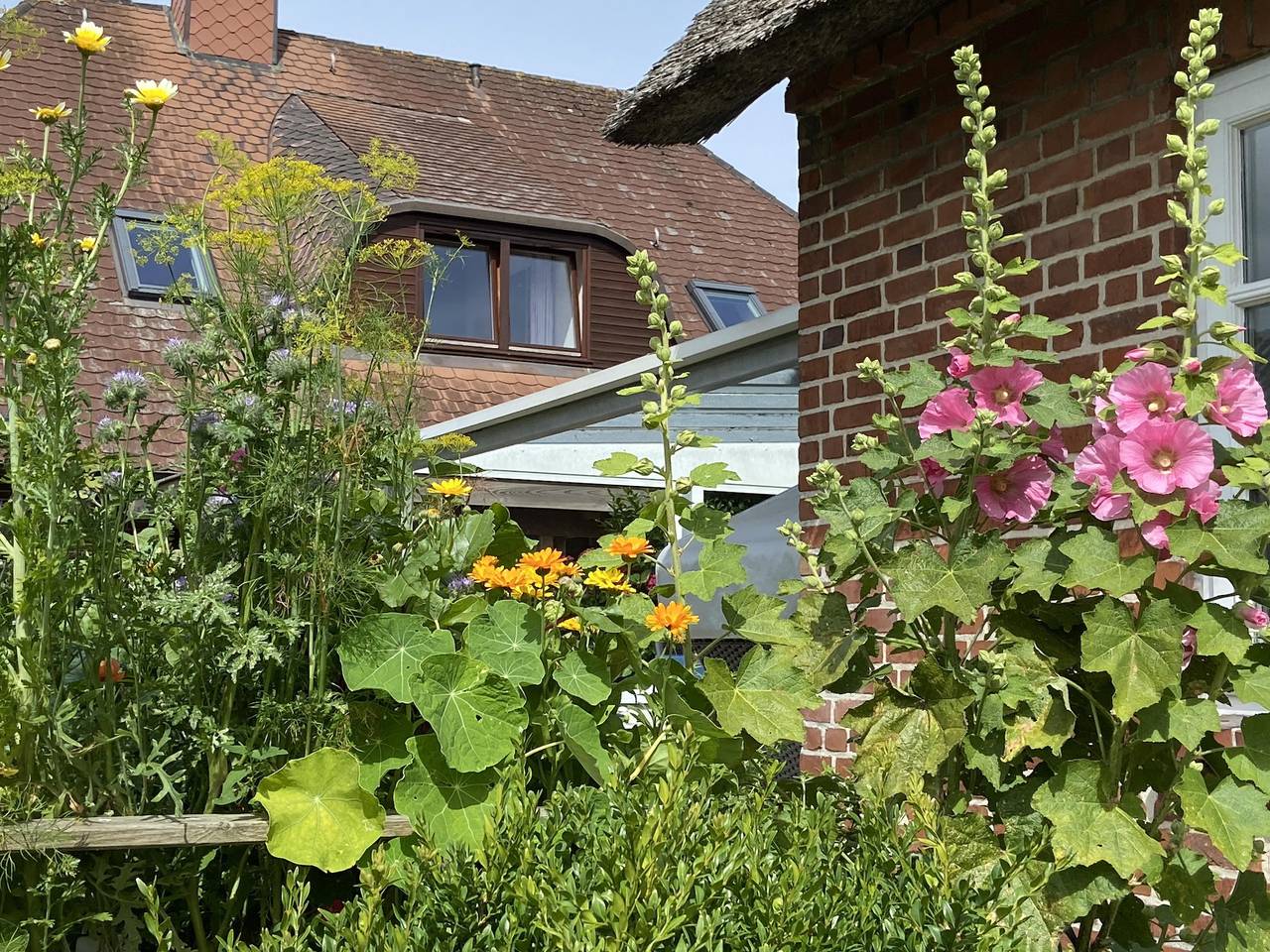 Ganze Ferienwohnung, Einzelzimmer Nr. 5 in Westerland, Sylt (Gemeinde)
