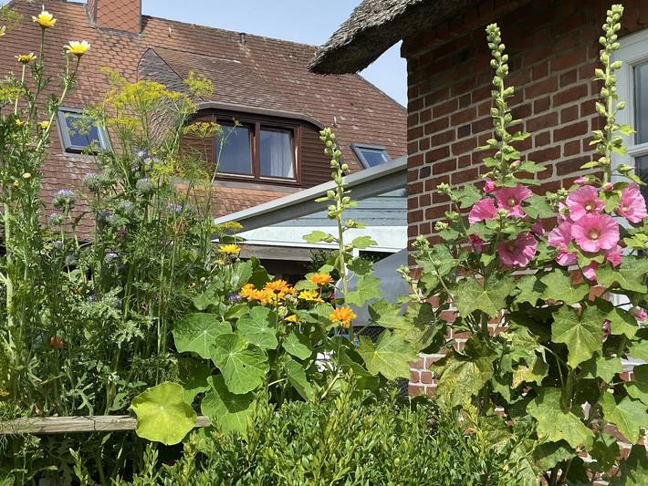Ferienwohnung für 2 Personen, mit Terrasse in Westerland - 3