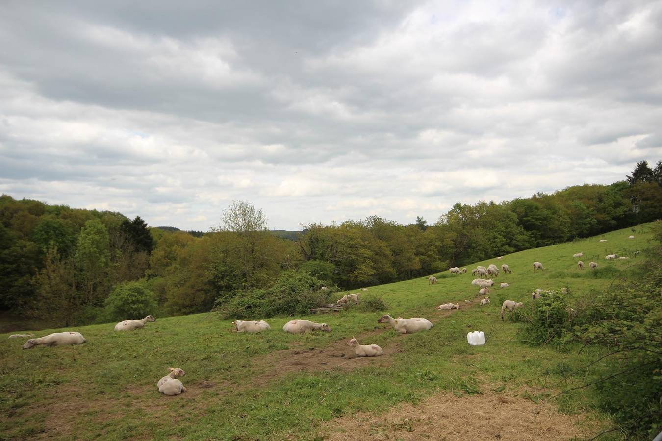 Le Petit Eden in Chissey-en-Morvan, Région d'Autun