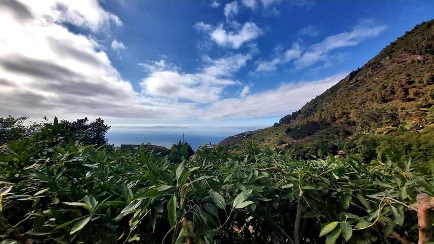 Casa rural para 2 personas, con terraza además de piscina y jacuzzi en La Orotava - 3