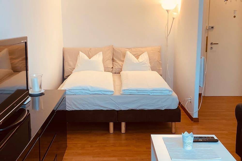 Studio del centro di Basilea in Basilea, Aargau-Basel