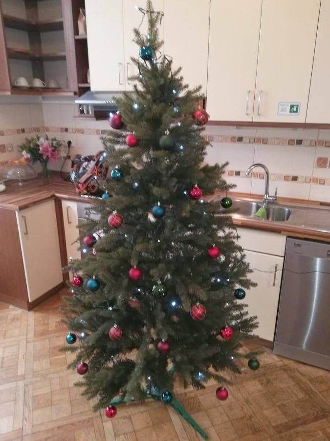 Maison d’hôte pour 20 personnes, avec jacuzzi et sauna à Prague - 2