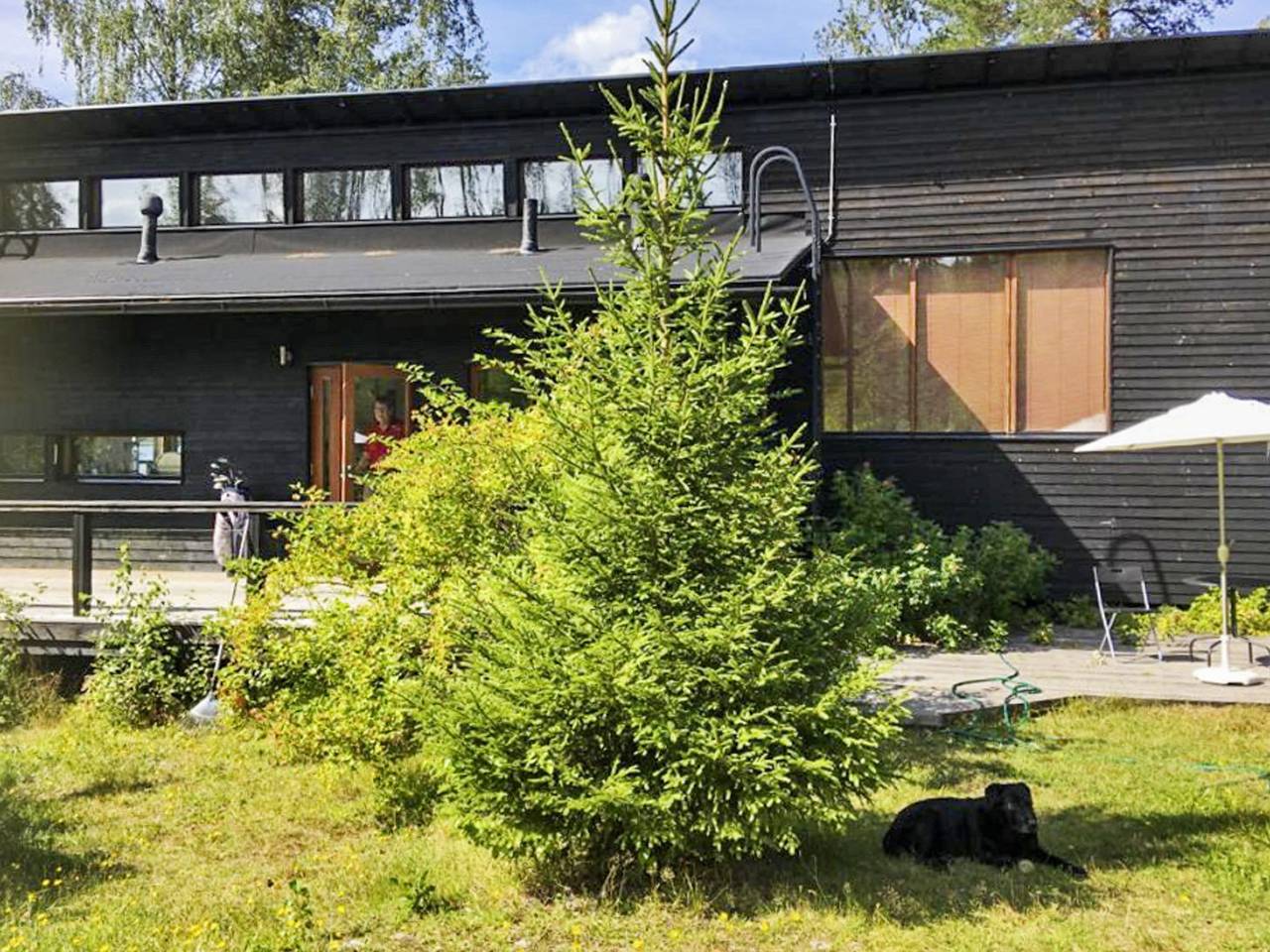 Hevonkuusi in Ristiina, Mikkeli
