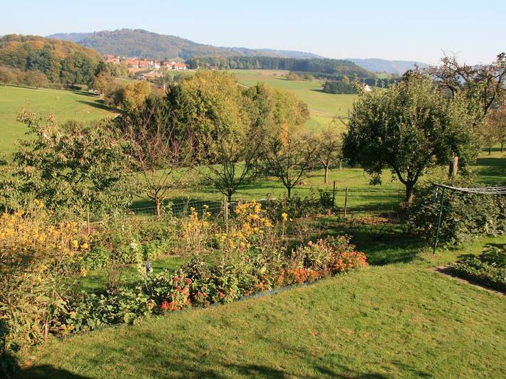 Ferienwohnung mit 3 Schlafzimmer in Freiamt, Südschwarzwald