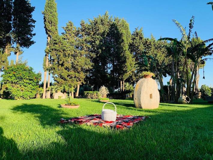 Agriturismo per 3 persone, con Balcone e Terrazza nonché Giardino e Piscina a Castelvetrano