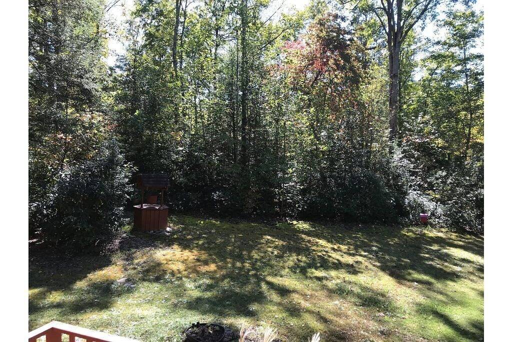 Nature at it's Best in McDowell County