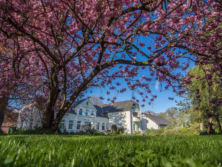 Ferienhaus für 6 Personen, mit Garten, mit Haustier