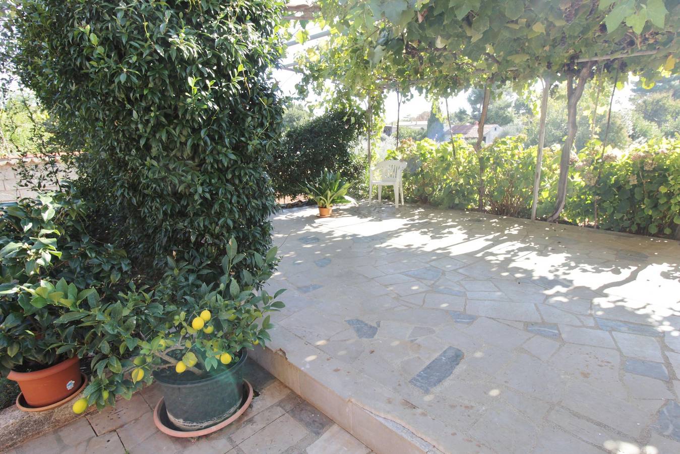 Appartement entier, Apartments Marija Savudrija in Umag, Région d'Umag