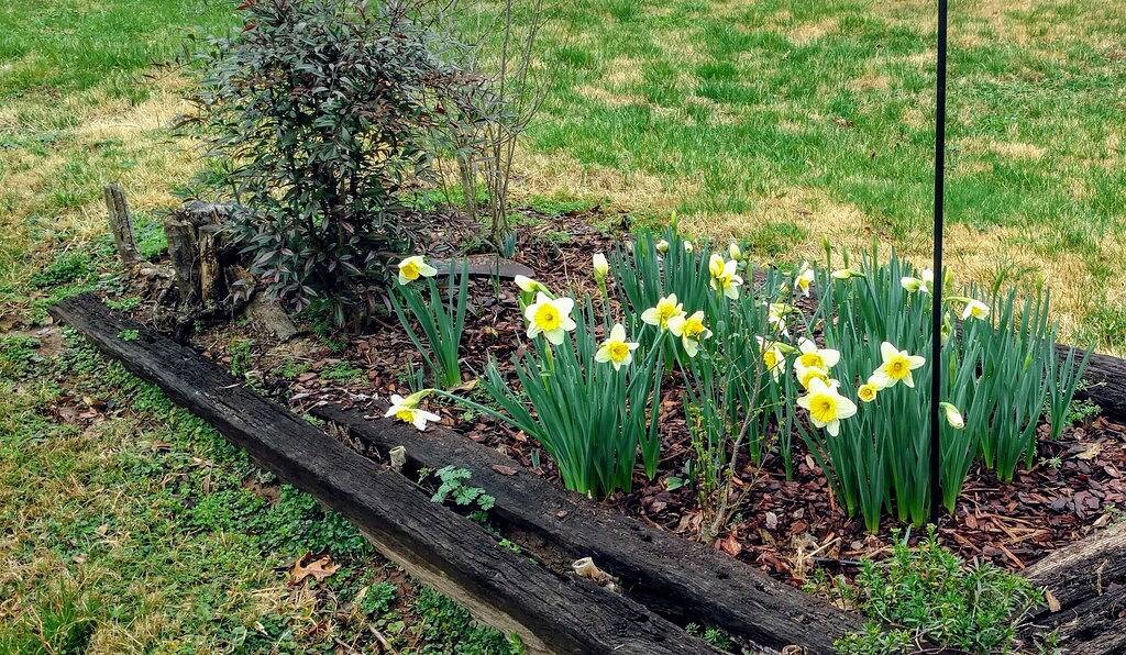 Sommer bei Railway Rest in der Nähe von Asheville - genießen Sie Bequemlichkeit und Komfort in McDowell County