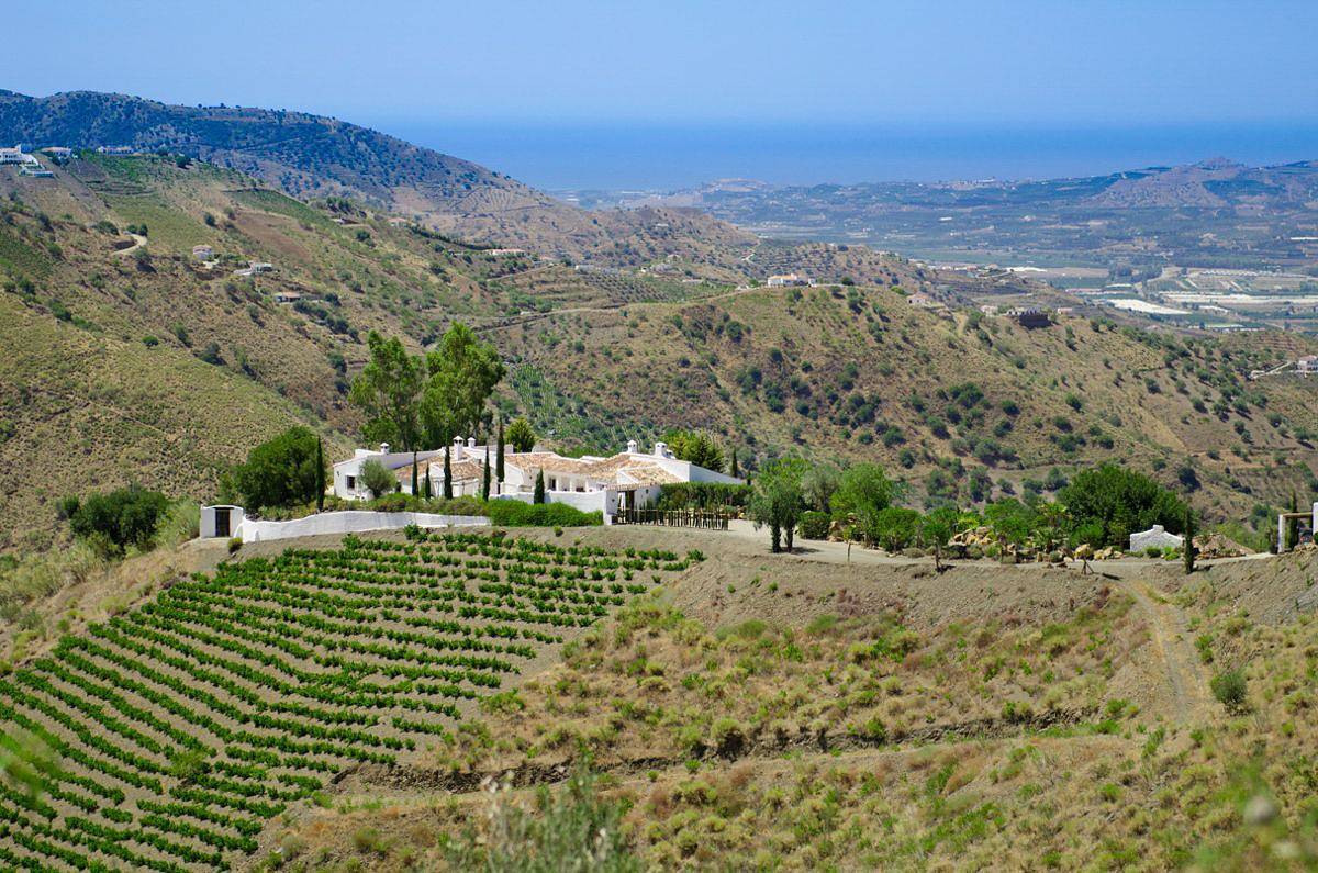 Cortijo Maria Camila in Canillas de Aceituno, Province de Málaga
