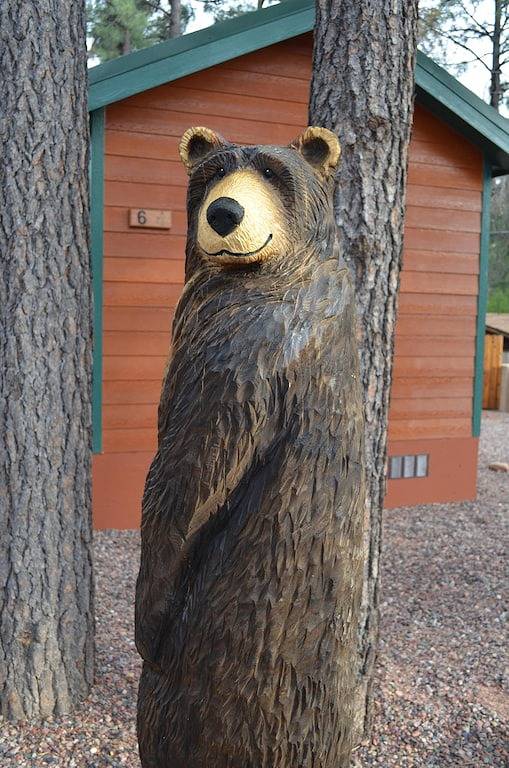 Genießen Sie eine unserer Hütten mit 2 Schlafzimmern in den kühlen Kiefern von Christopher Creek. in Gila County