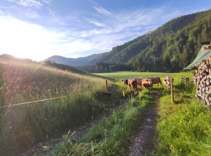 Ferienwohnung für 4 Personen, mit Balkon und Terrasse sowie Garten im Chiemgau - 2