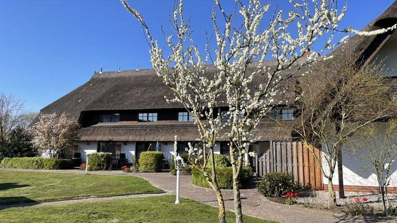 Appartement de vacances entier, Ferienwohnung für 4 Personen (28 m²) in Sagard in Sagard, Parc national Jasmund