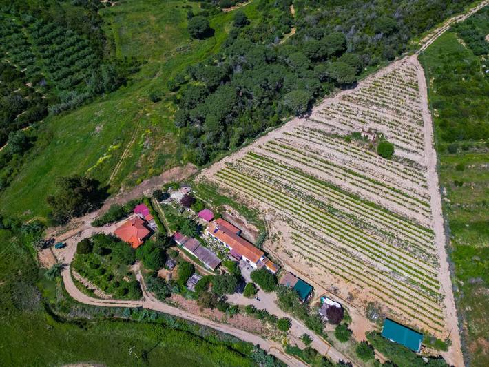 Ferienwohnung für 2 Personen, mit Garten, mit Haustier auf Elba - 3