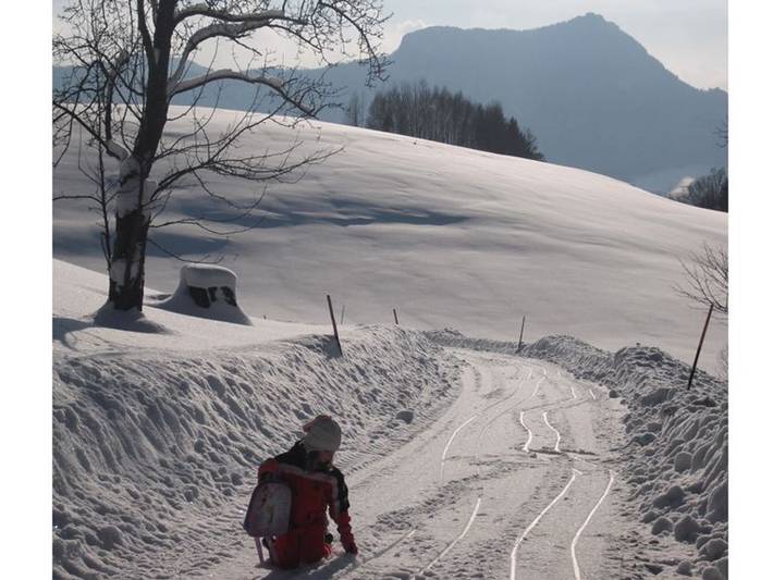 Bauernhof für 3 Personen, mit Garten im Salzkammergut - 2