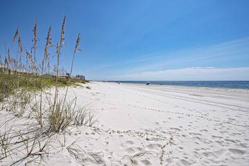 Vacation House for 30 Guests in Gulf Shores, Mobile Bay, Picture 3