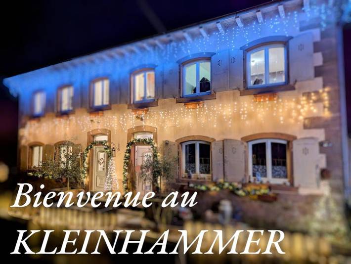 Gîte pour 6 personnes, avec jardin et vue, animaux acceptés à Niederbronn-les-Bains - 4