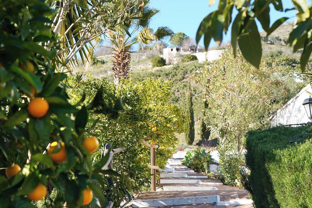 Casa 3/Andalusian architecture in a beautiful green oasis/1 km from El Borge in El Borge, Málaga Provincie