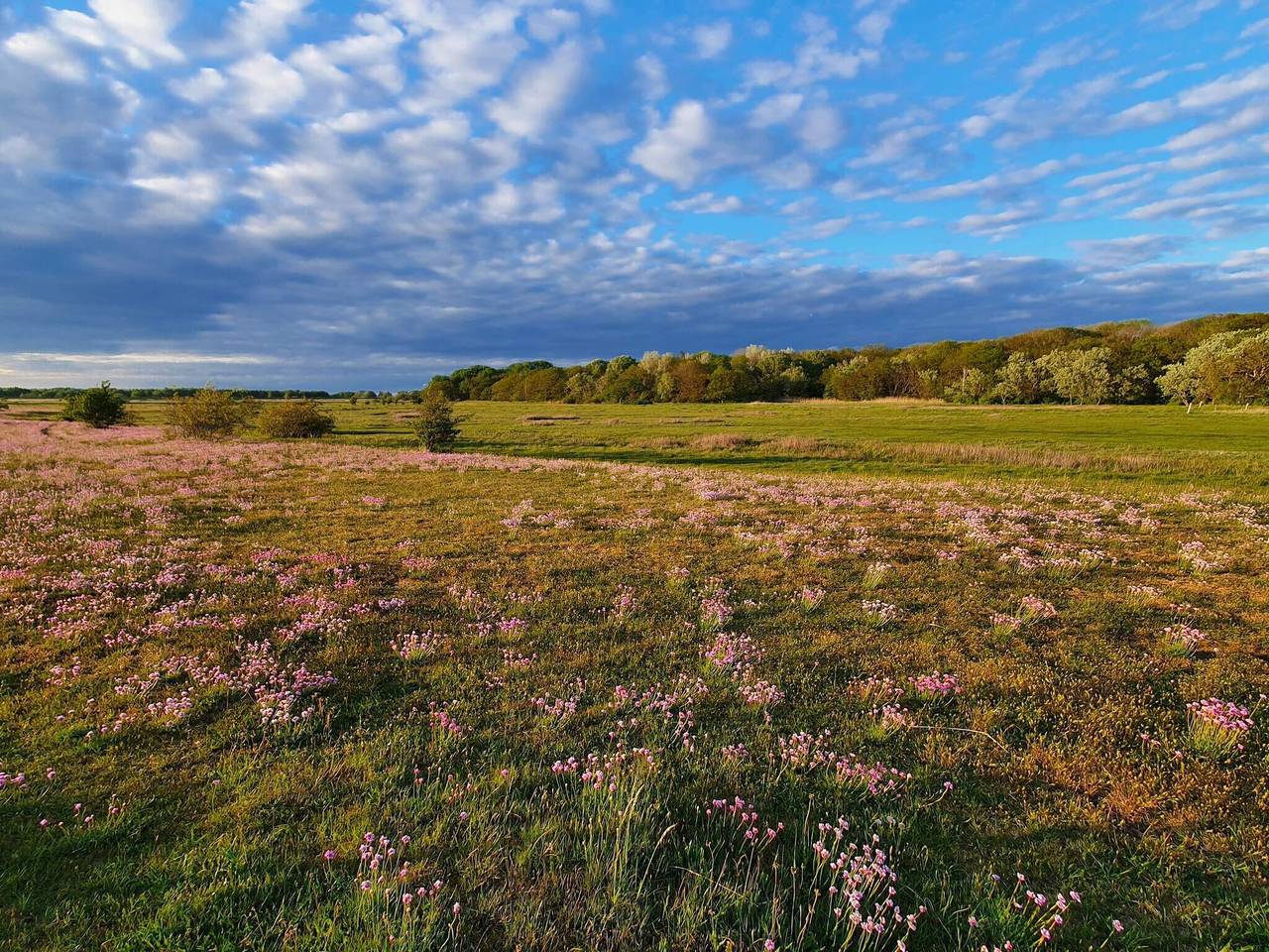 10 personas casa en Dragør-By Traum in Amager, Dragør