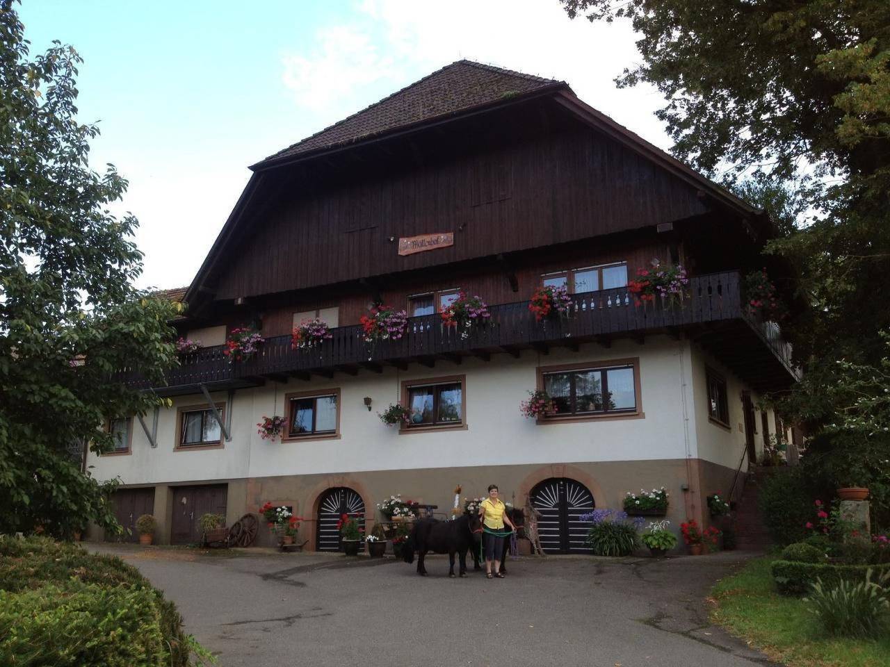 Ganze Wohnung, Wohnung in Unterharmersbach mit Garten und Grill in Unterharmersbach, Zell am Harmersbach
