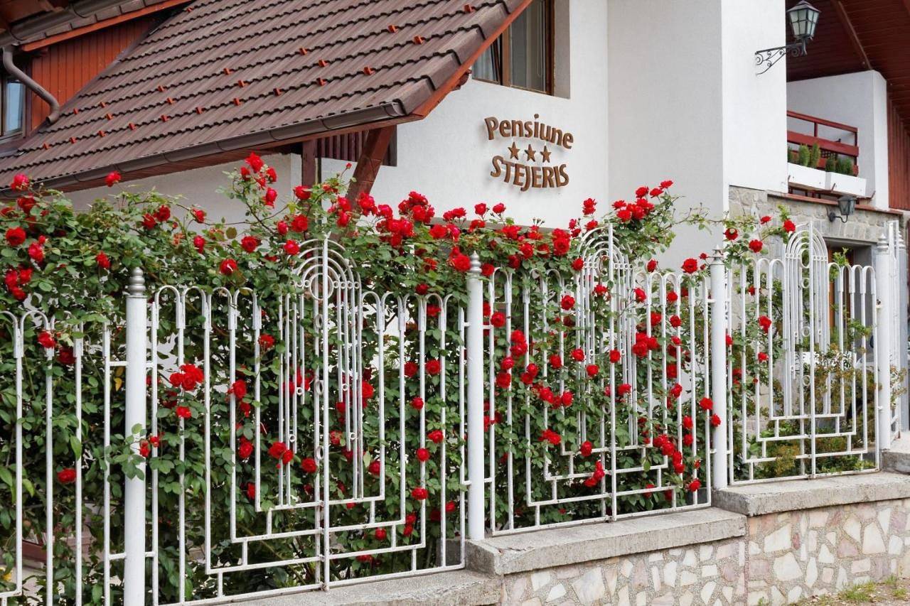 Pension Stejeris in Brașov, Poiana Brasov - Brasov